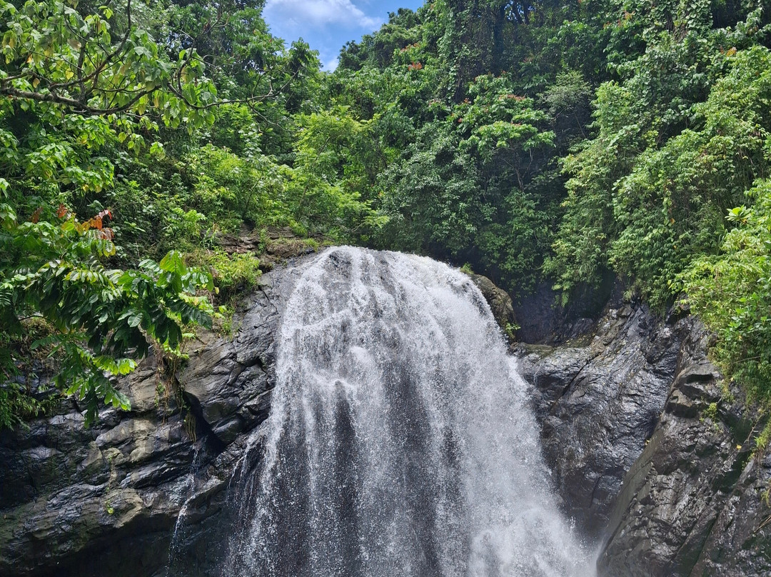 Vuadomo Waterfall - Muanivatu Trails-萨武萨武必去景点