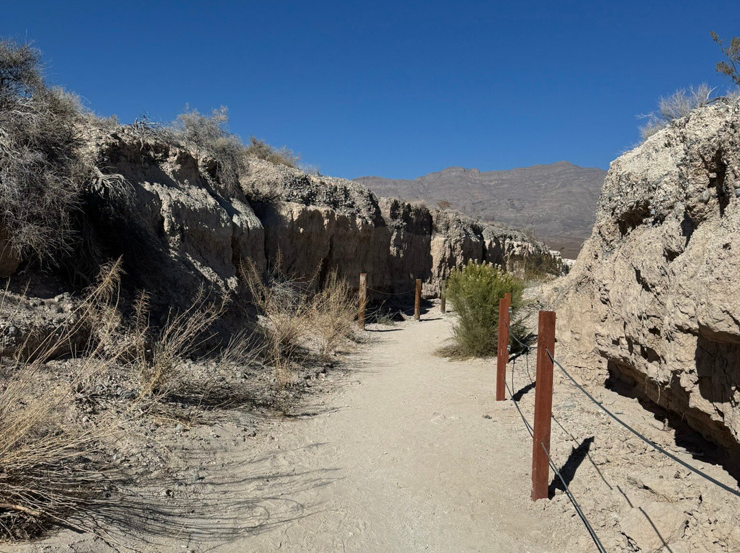 Ice Age Fossils State Park-北拉斯维加斯必去景点