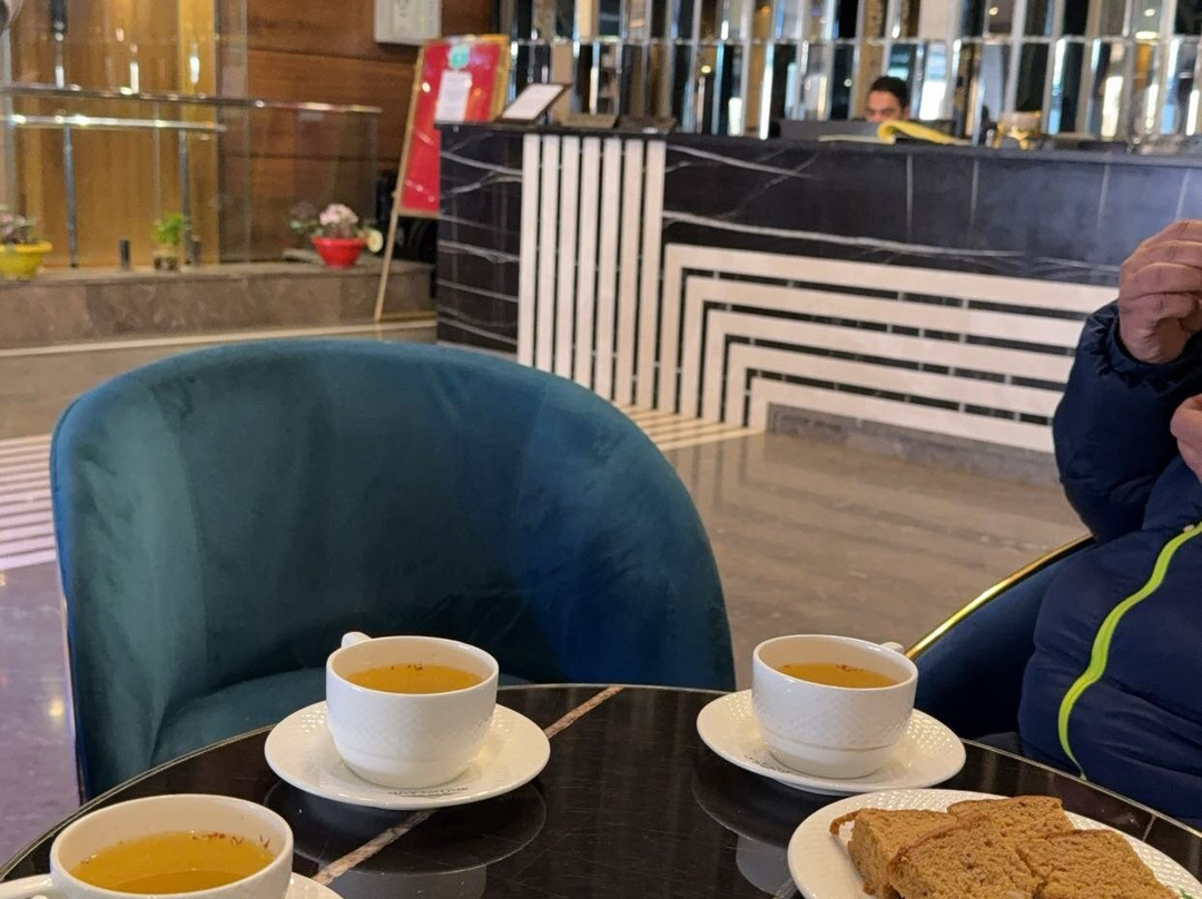 Hotel Snow Land Srinagar主图