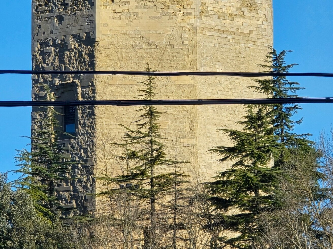 Torre di Federico II景点图片