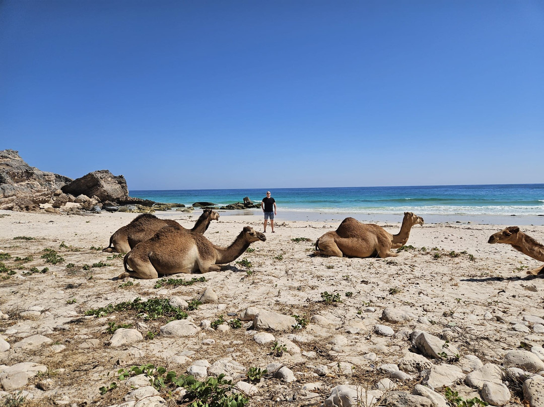Uncle Said Salalah Tours