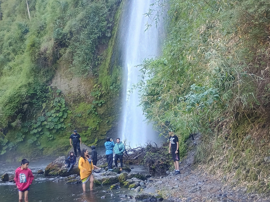 Magical Tours Chile-蒙特港必去景点