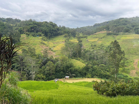 Toraja Wonderful Tours-兰特包必去景点