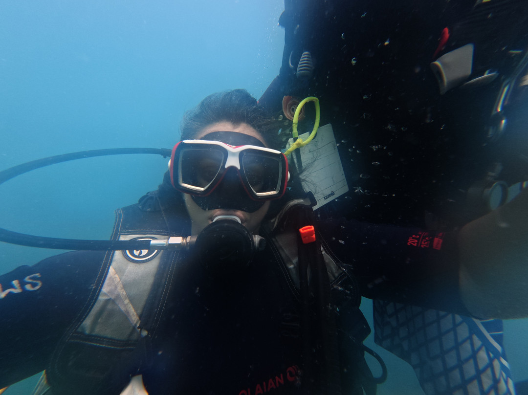 Dive India景点图片