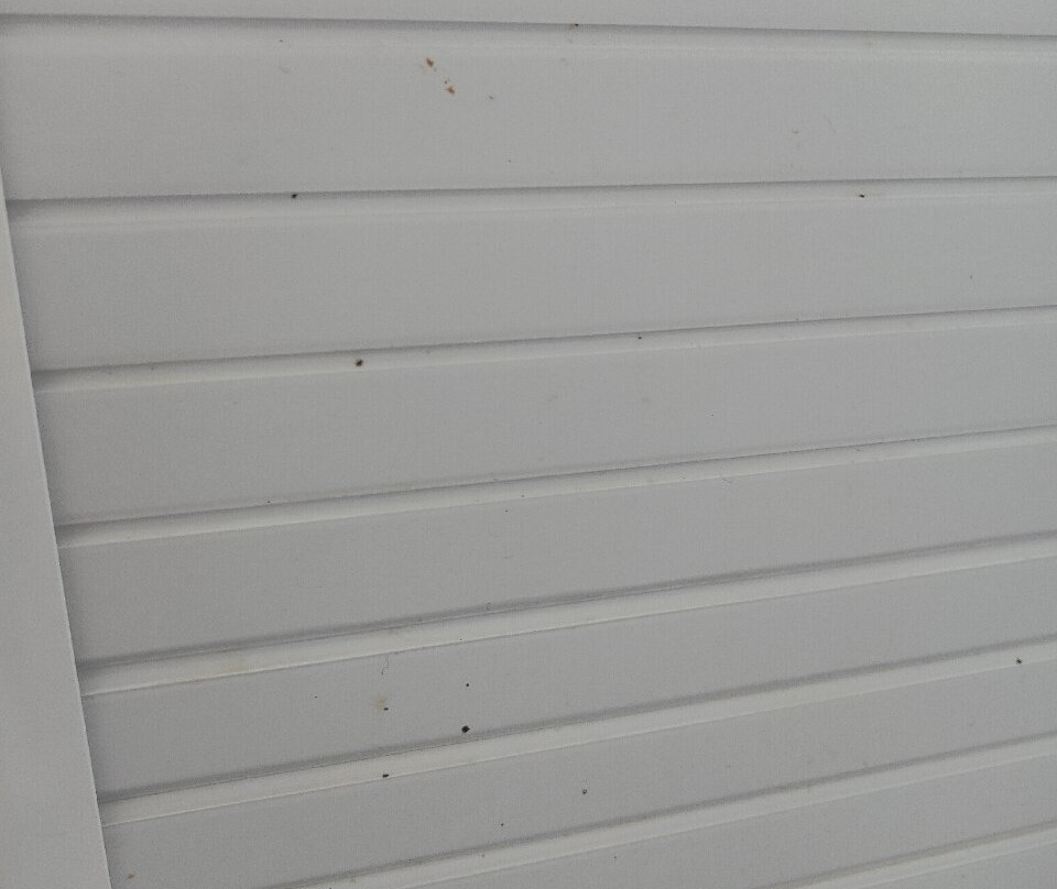 Playa Los Angeles主图