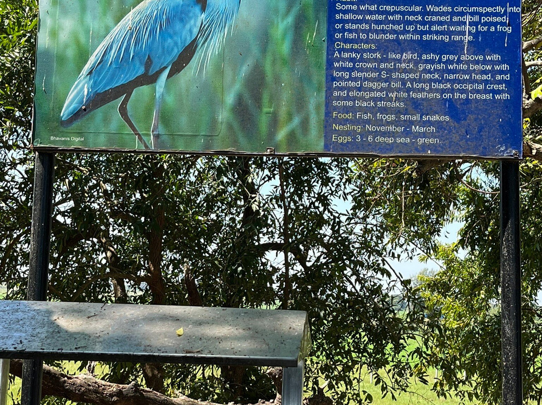 Vedanthangal Bird Sanctuary景点图片