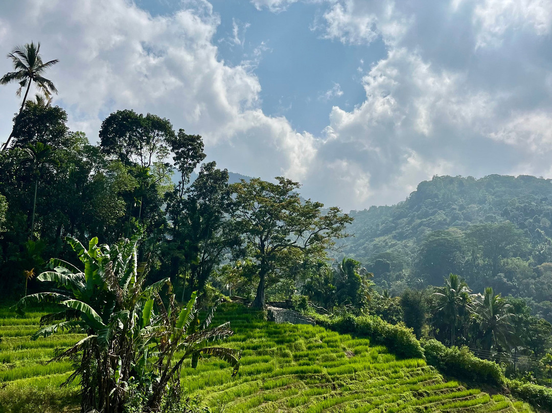 Nana's Lanka Tours & Travels-尼甘布必去景点