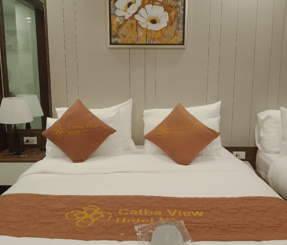 Catba View Hotel主图