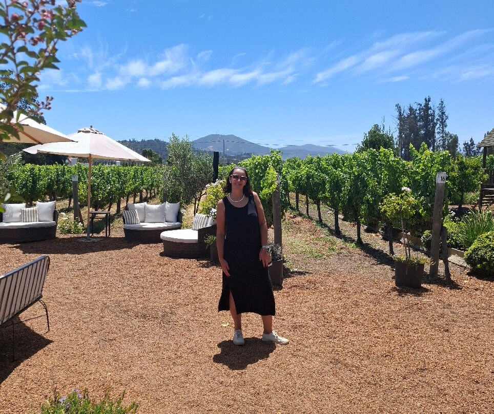 Casas del Bosque-卡萨布兰卡必去景点