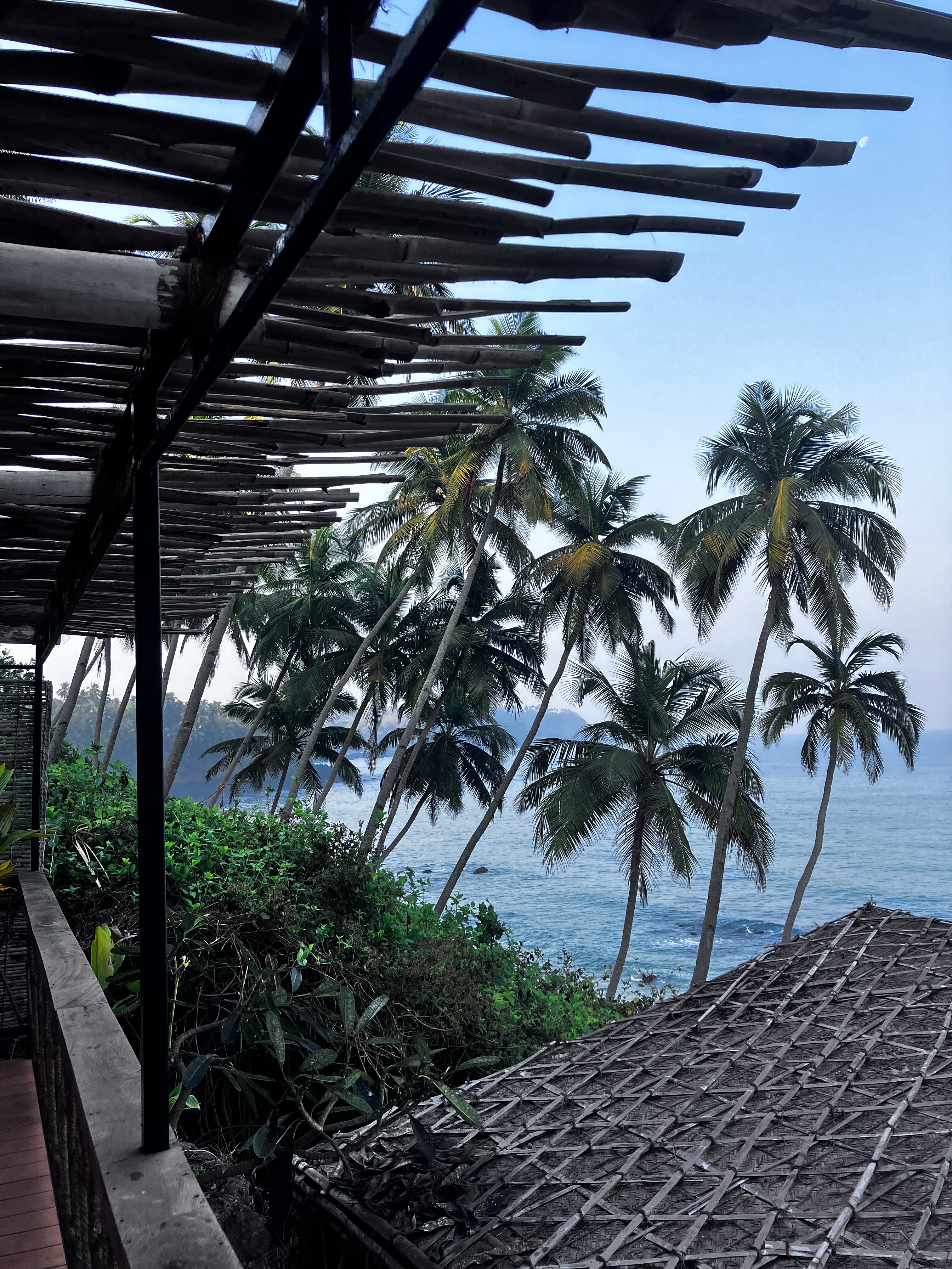 The Cape Goa-酒店景观