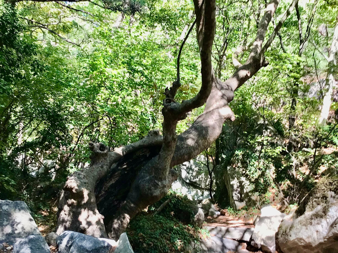 Sutuven Selalesi景点图片