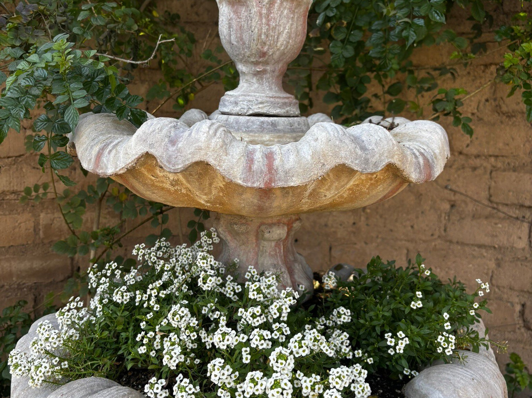 Tucson Botanical Gardens-图森必去景点