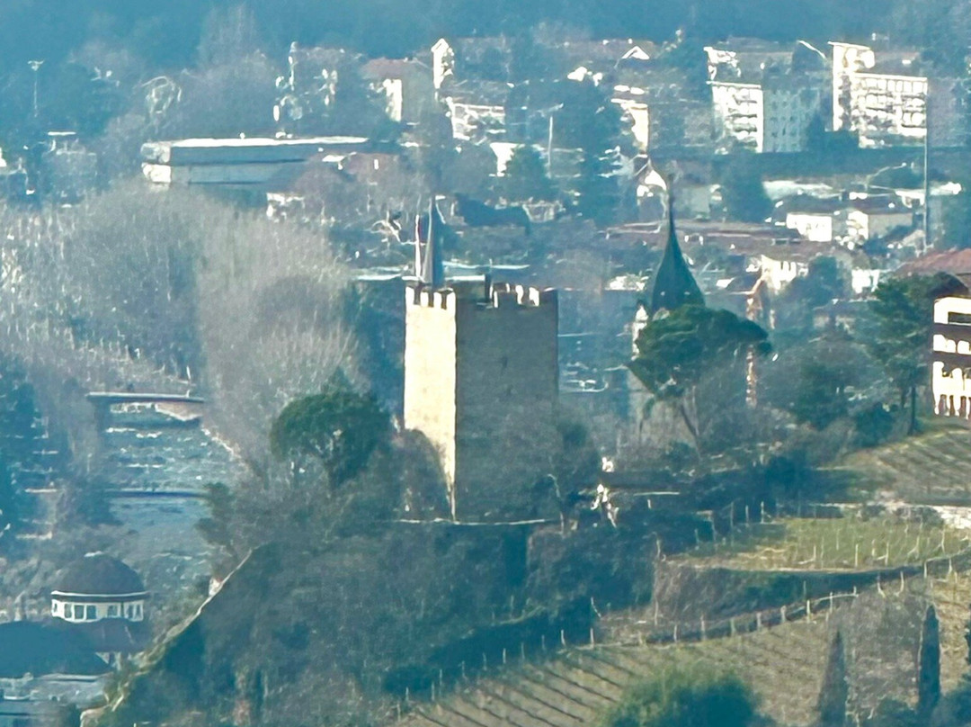 Torre delle Polveri景点图片