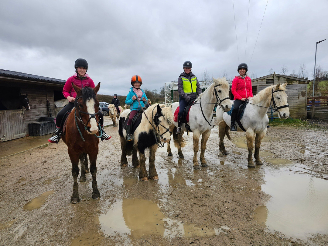Bourton Vale Equestrian Centre景点图片
