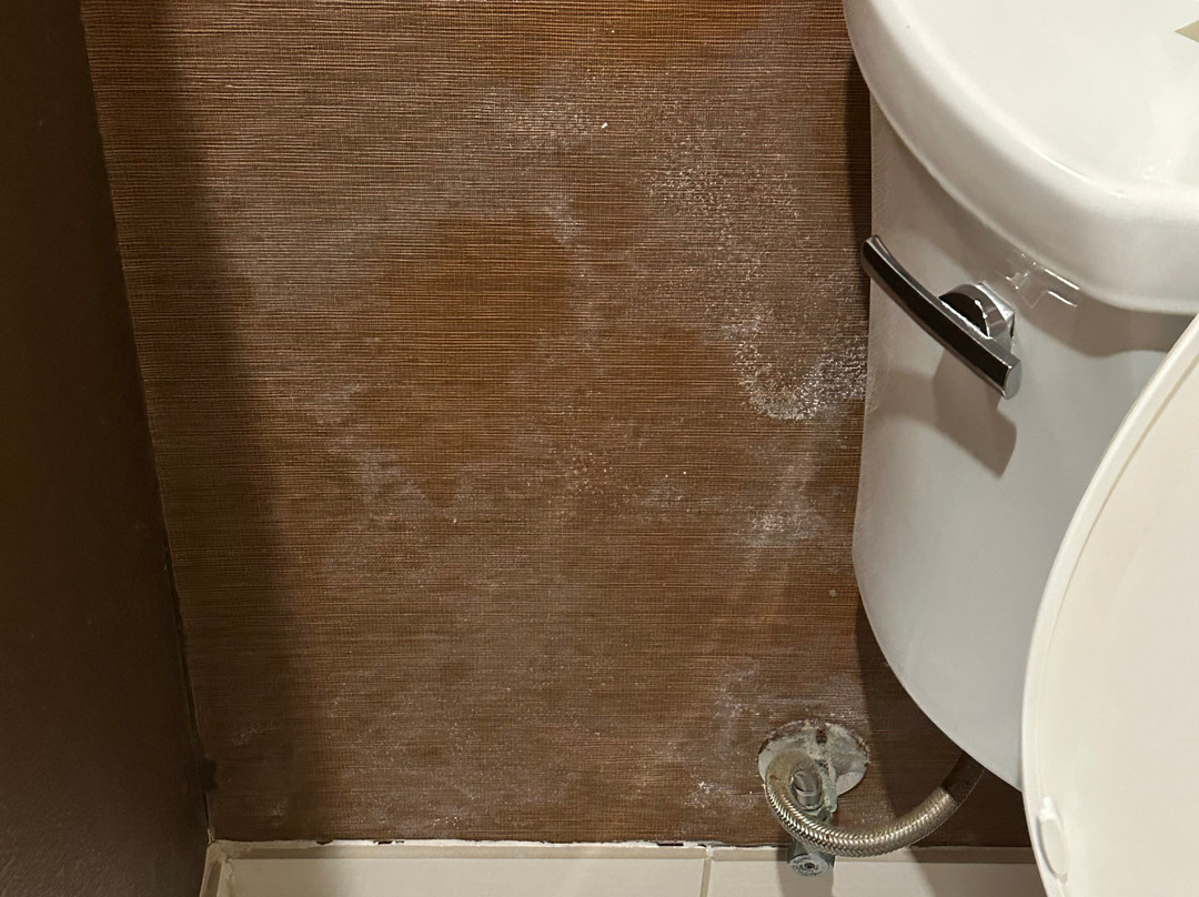 Fairfield by Marriott Inn & Suites Natchitoches主图