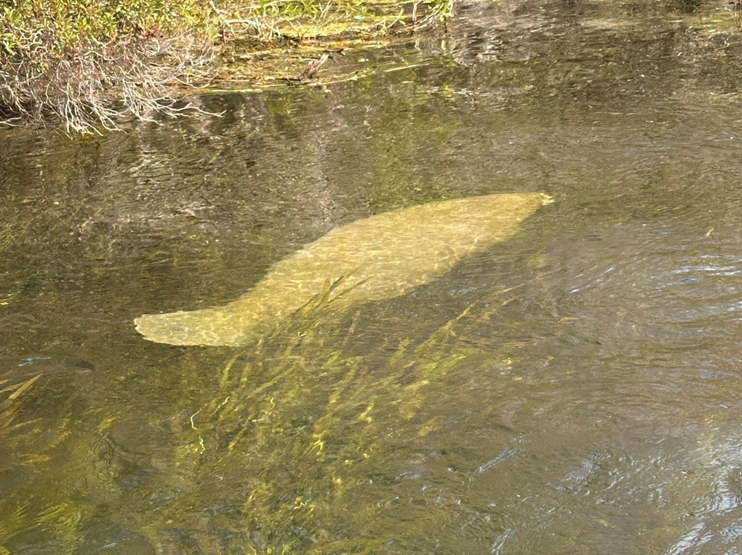 Edward Ball Wakulla Springs State Park-Wakulla Springs必去景点