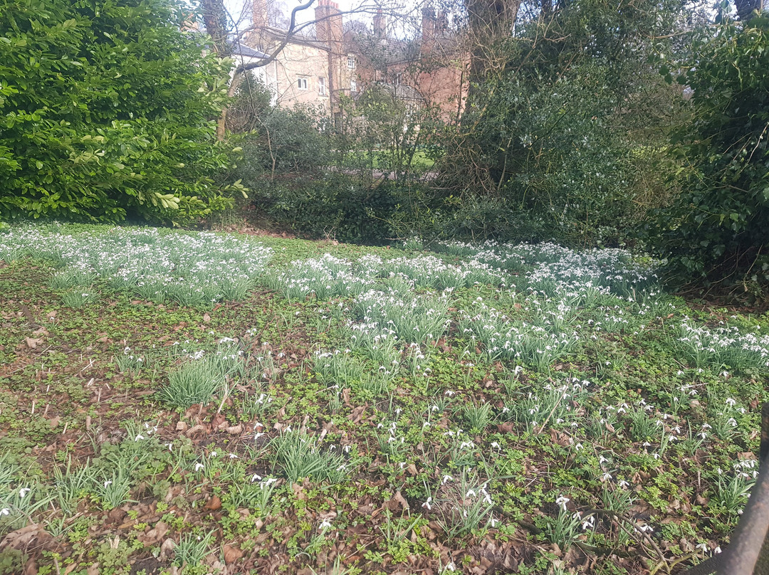 Hopton Hall Gardens-Hopton必去景点