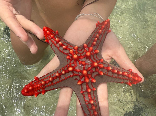 Safari In Kenya Con Batman E Gianni-瓦塔木必去景点