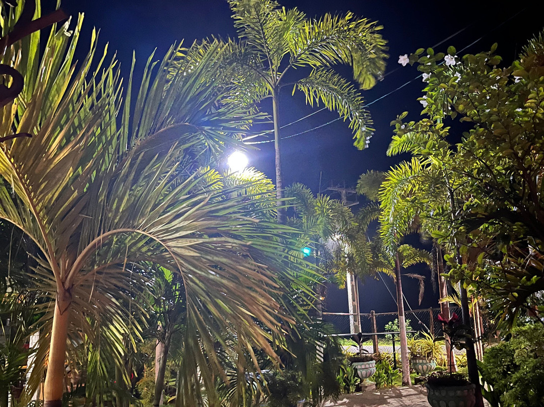 Sea View Resort主图