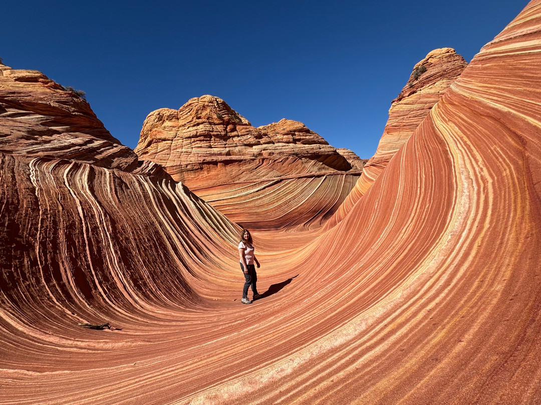 狼丘石浪-比格沃特必去景点