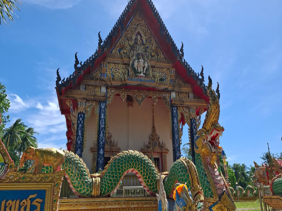 Wat Salak Phet Temple-阁仓必去景点