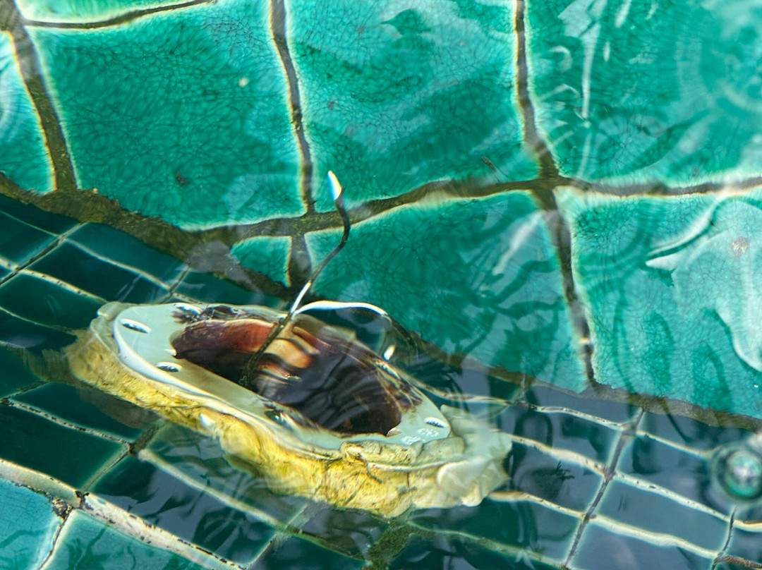 Miracle Island Resort