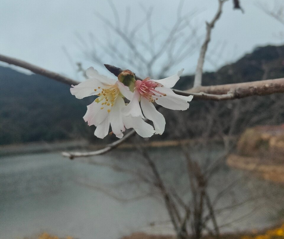 石门国家森林公园-从化市必去景点