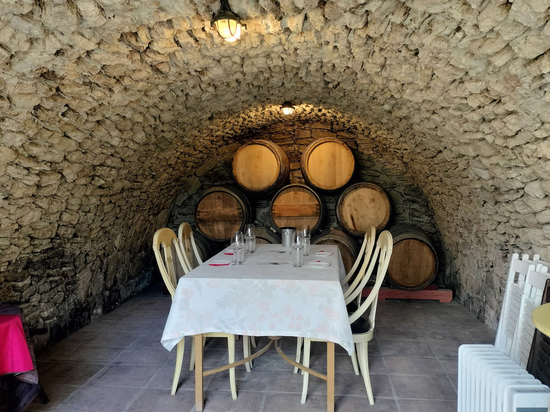 Bodega Kieninger景点图片
