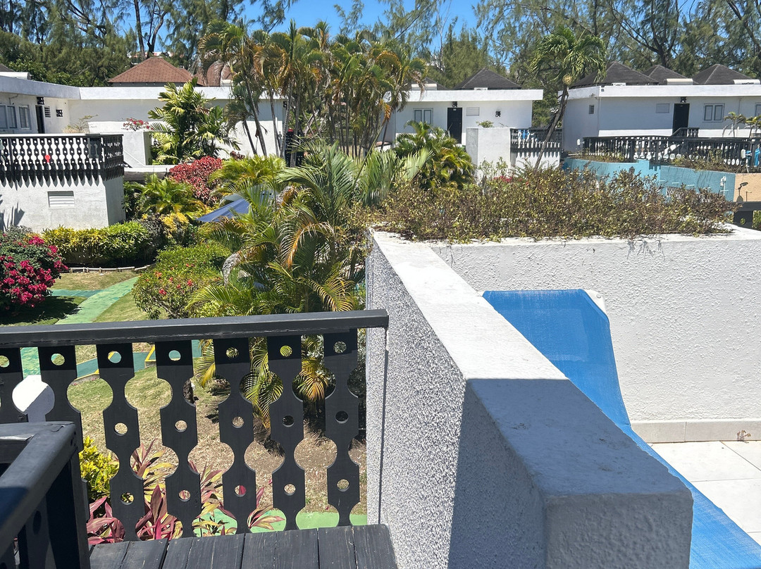 Plum Tree Club主图