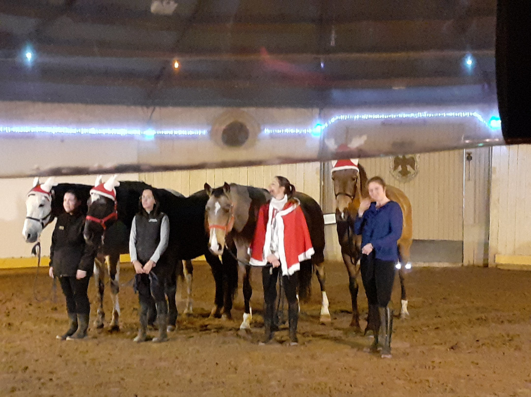 Cabaret Equestre des Sables-勒格罗迪鲁瓦必去景点
