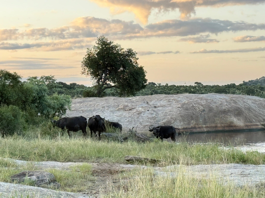 Napi Wilderness Trail-克鲁格国家公园必去景点