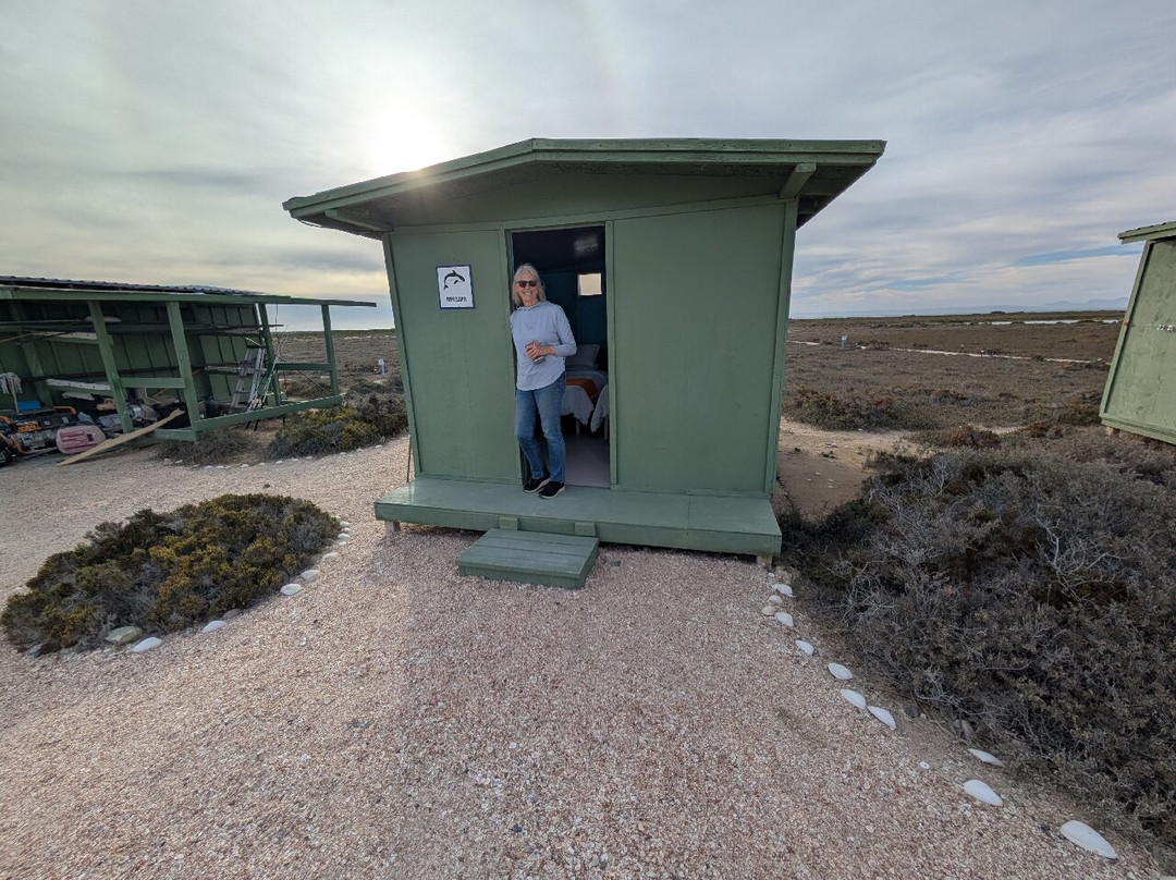 Baja Ecotours-San Ignacio必去景点