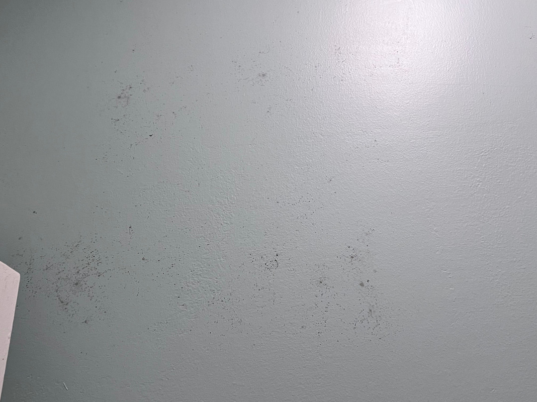 Monmouth Historic Inn主图