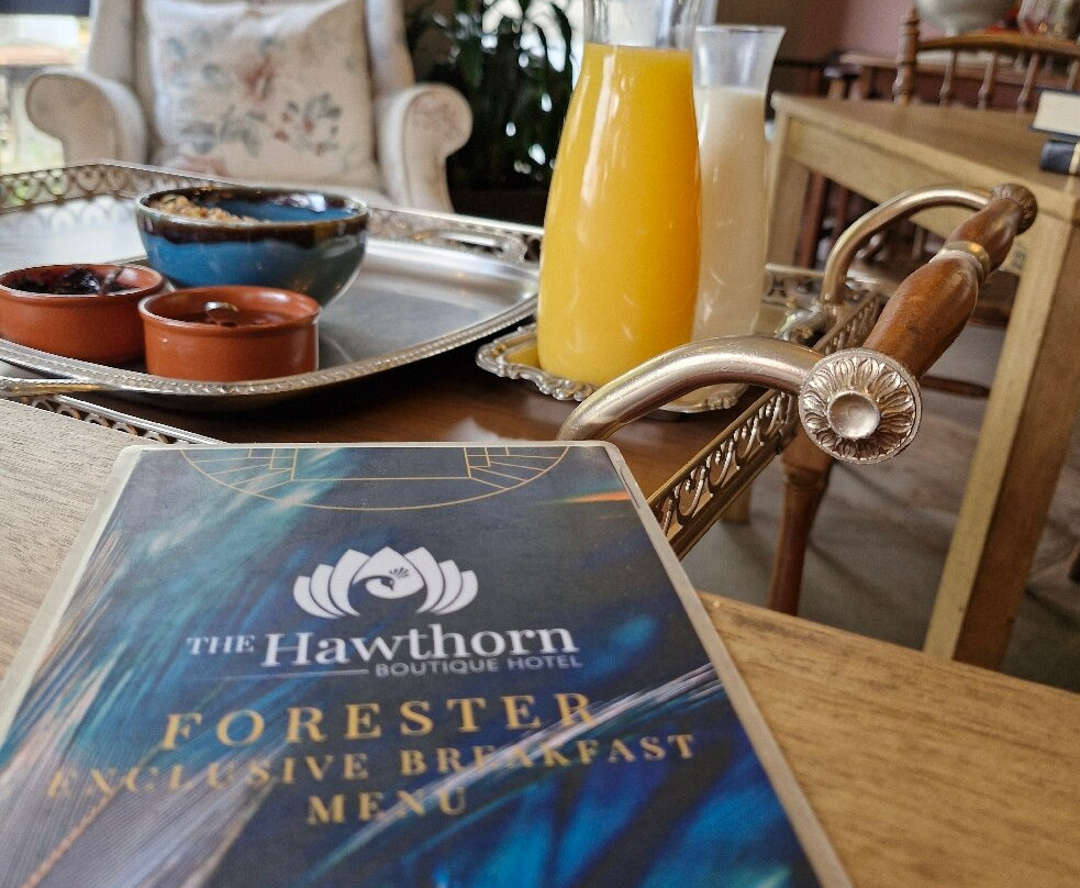 The Hawthorn Boutique Hotel主图