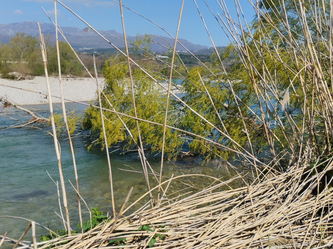 Oasi WWF di Persano-Serre必去景点