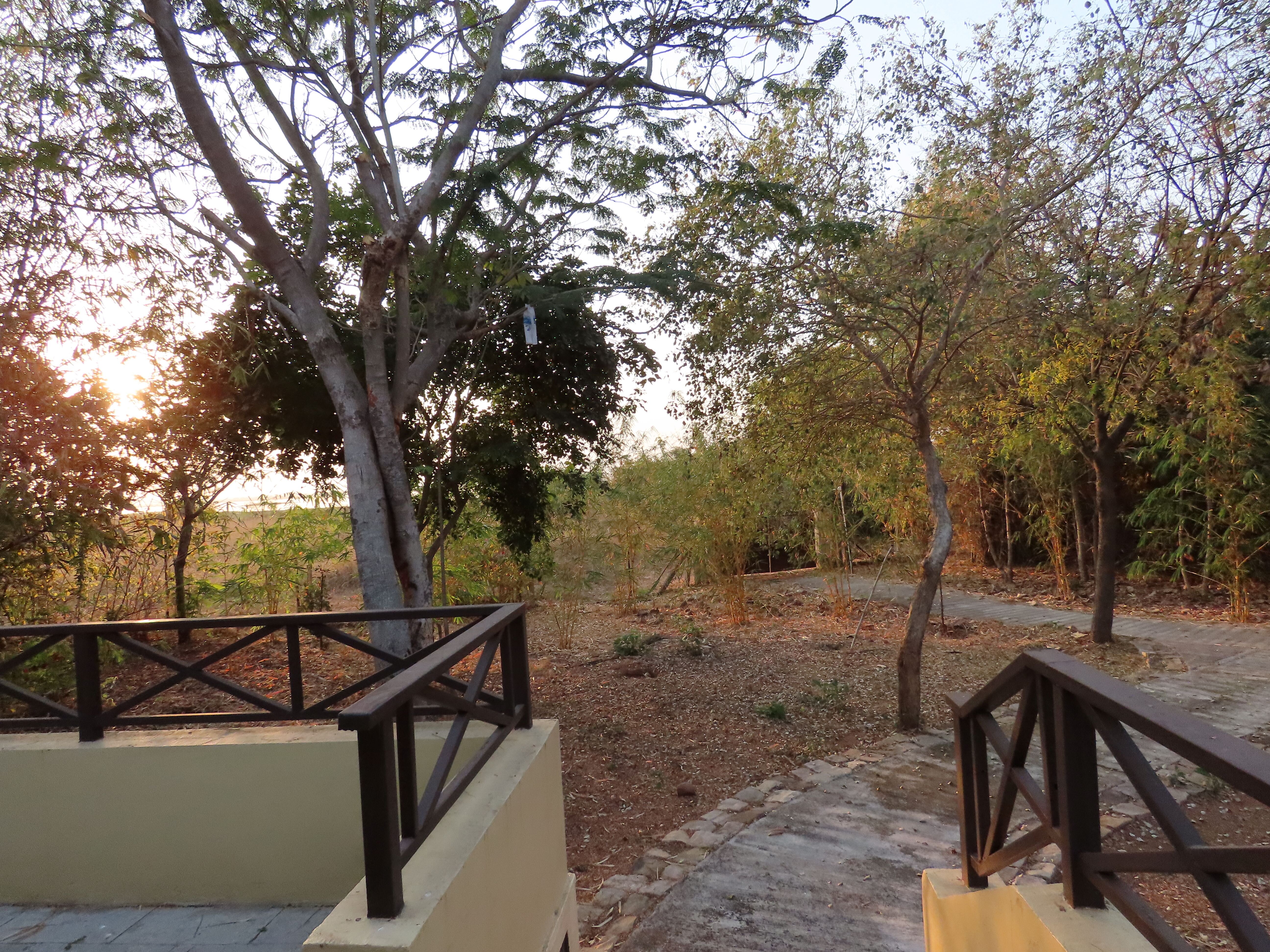 Irai Safari Retreat-酒店景观