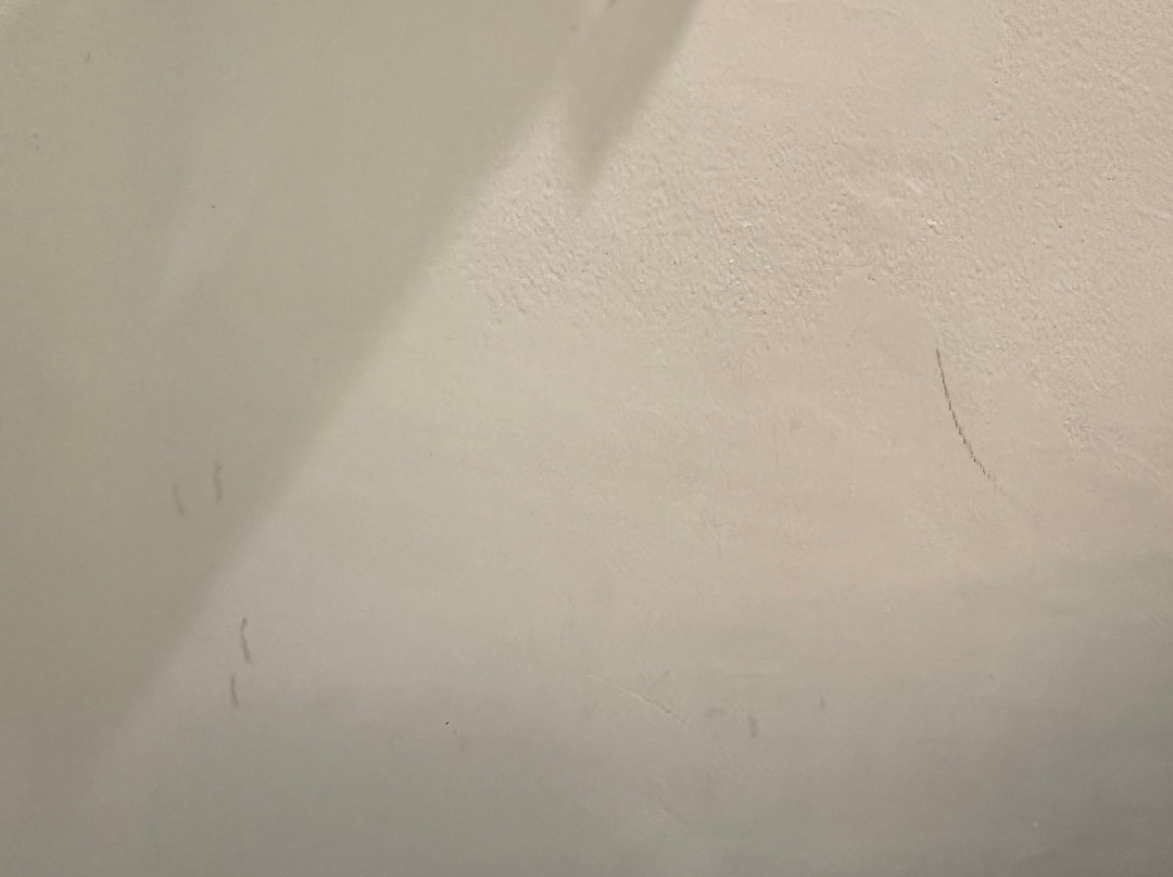 萨罗晋酒店主图