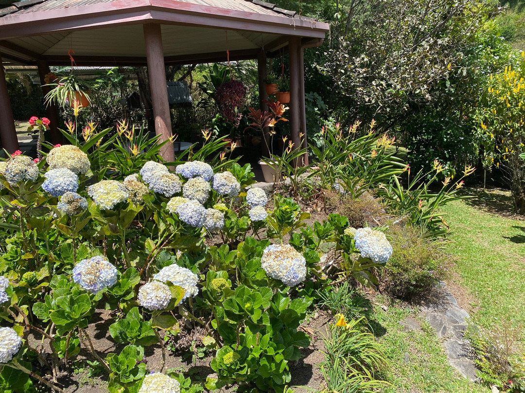 El Oasis Hotel & Restaurant主图