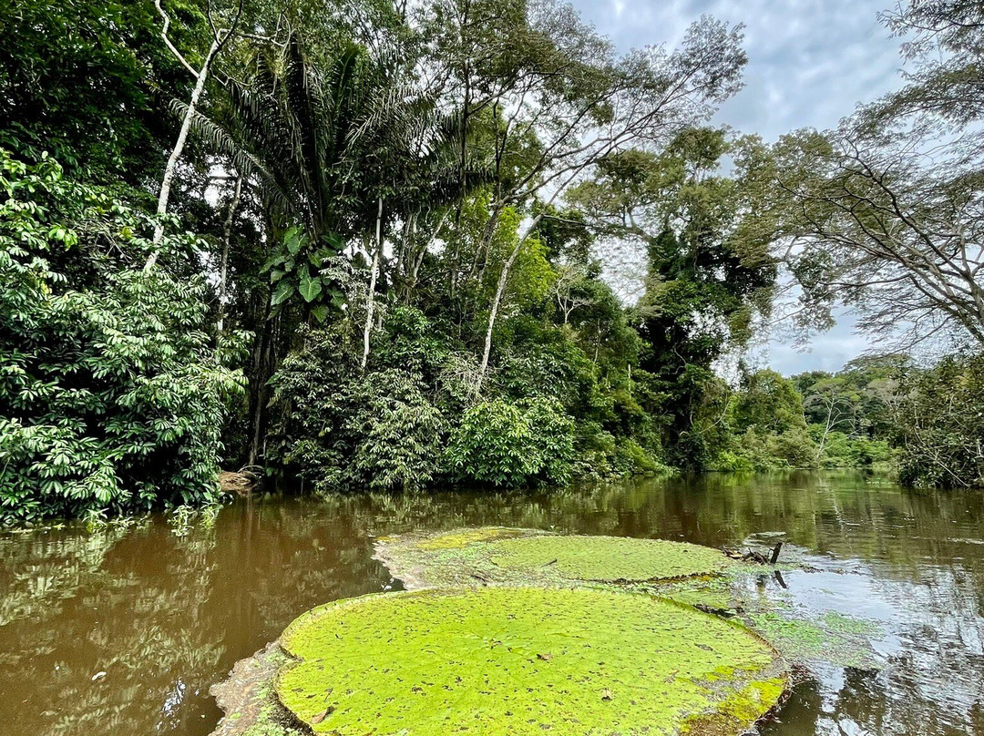 Wonder Amazon景点图片