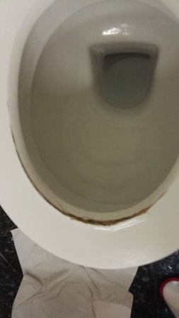 佛罗伦萨商务创意酒店主图