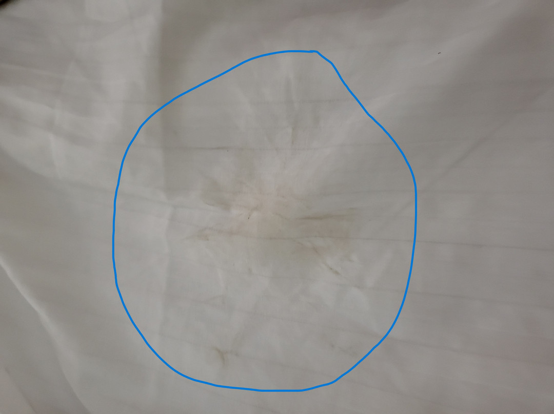 Best Western Lindale Inn主图