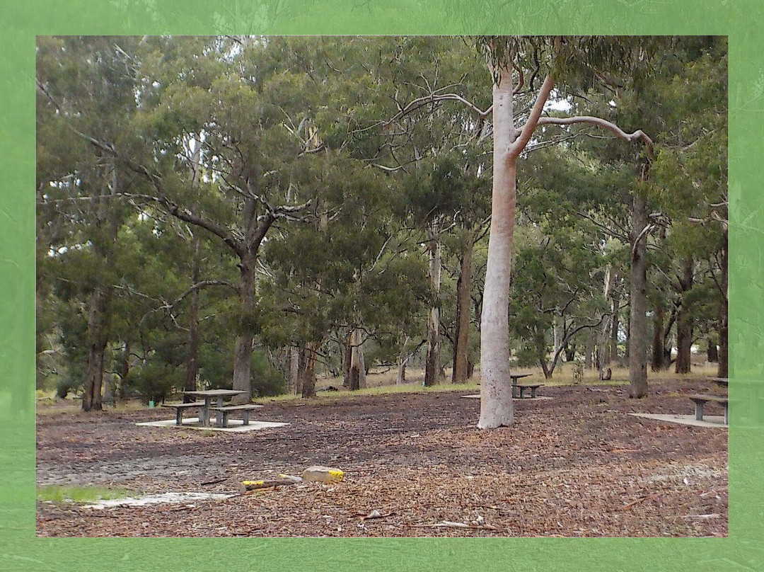 沃特公园-墨尔本必去景点