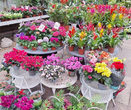 Walker's Nurseries and Garden Centre-Blaxton必去景点