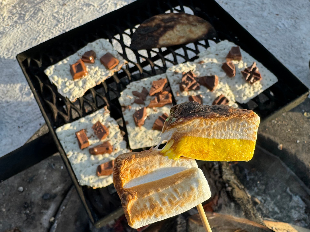 Wild Blueberry-罗瓦涅米必去景点