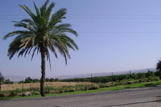 Kinar Holiday Village主图