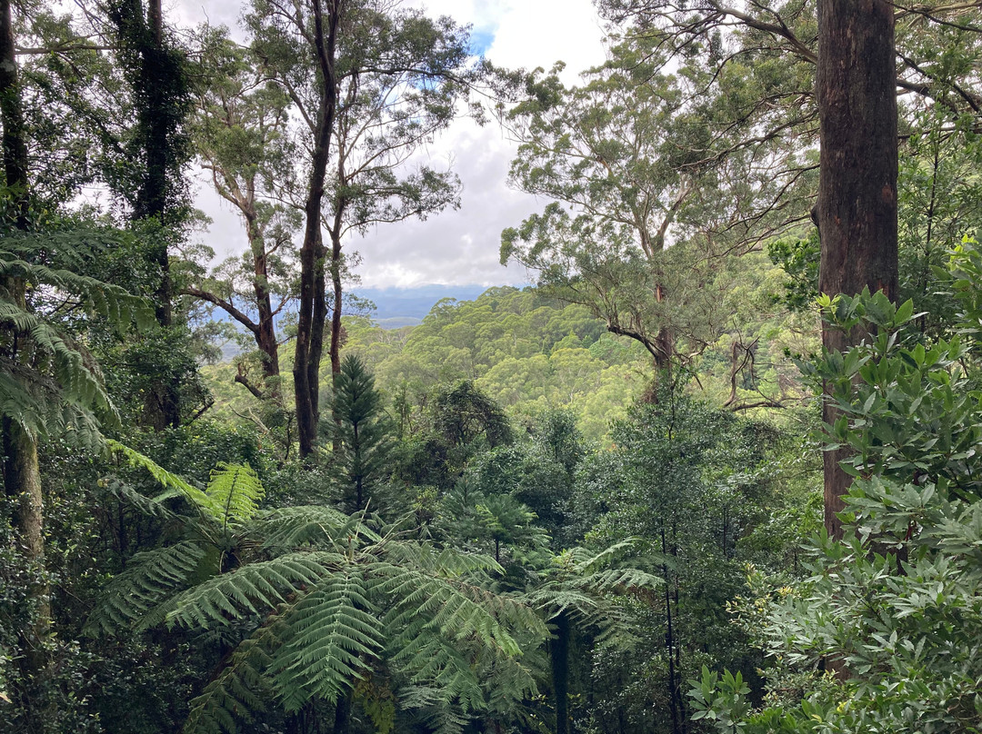The Blue Mountains Botanic Garden景点图片