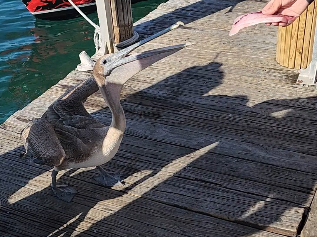 AquaLife Divers-庞帕诺比奇必去景点