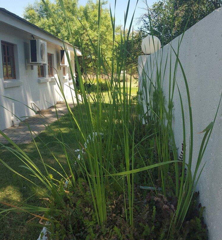 Deo Volente Country House主图