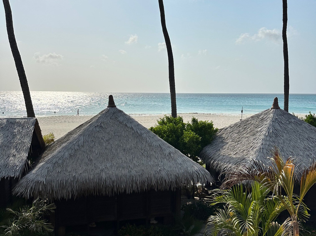 Manchebo Beach Resort & Spa主图