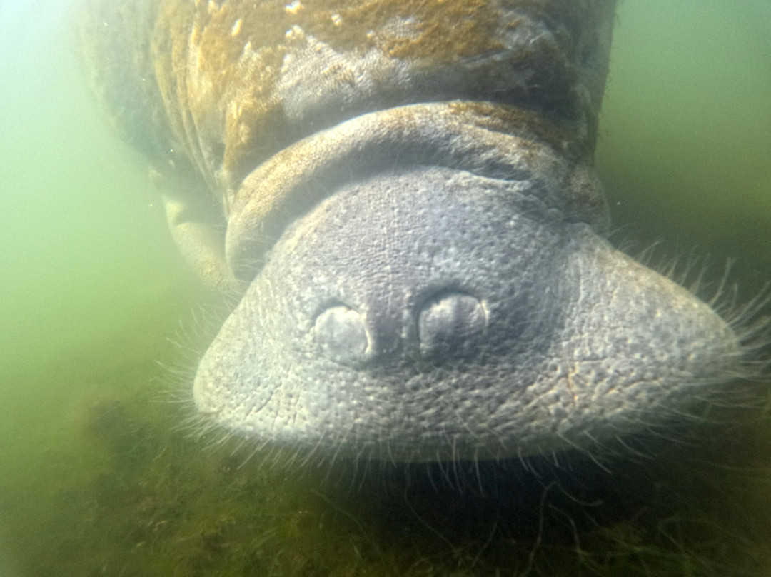 River Ventures-克里斯特尔里弗必去景点